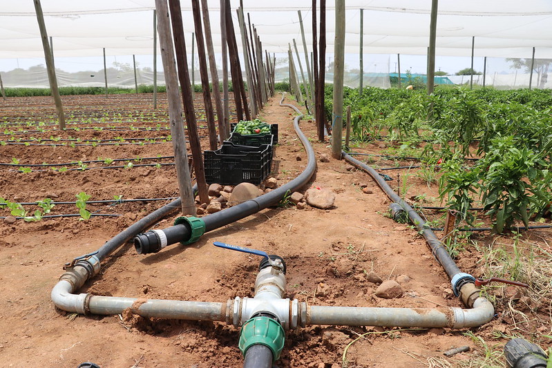 ¿Cuán real es una guerra por el agua en Medio Oriente?