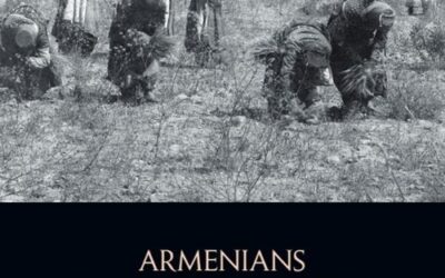 Armenios y Disputas Territoriales en el Imperio Otomano, 1850-1914
