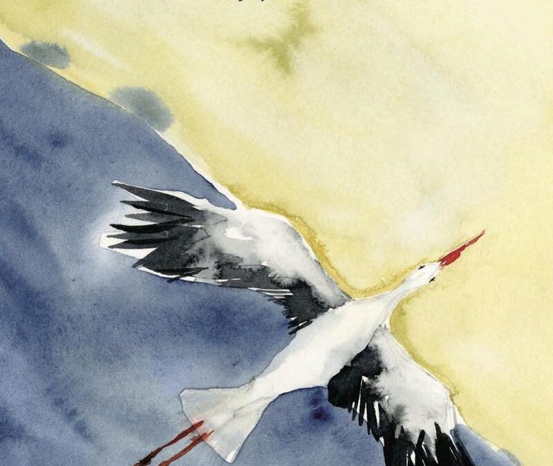 Homebound: retornando a casa: un abrazo visual a la esperanza. Entrevista a Margaryta Winkler